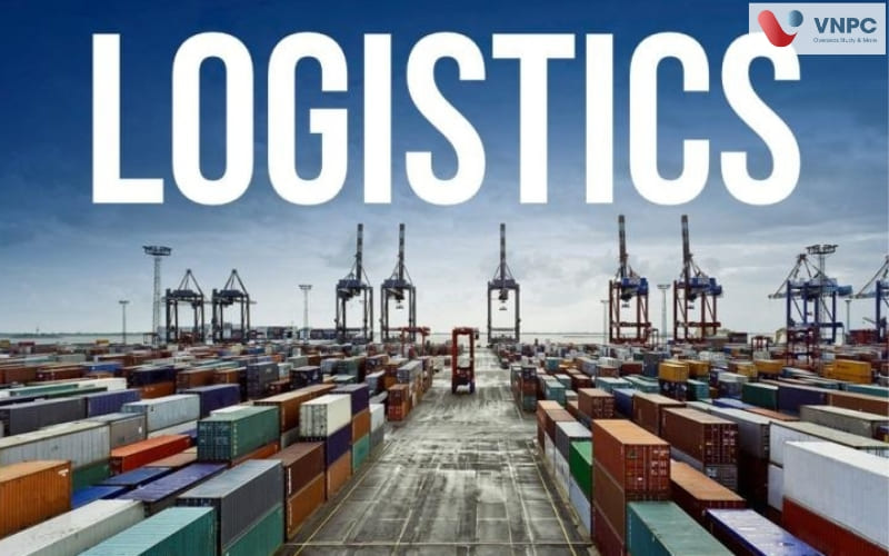 Kinh 888 nhà cái ngành Logistics: Lộ trình, chi phí và cơ hội việc làm
